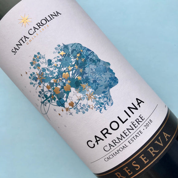 Chile's signature grape